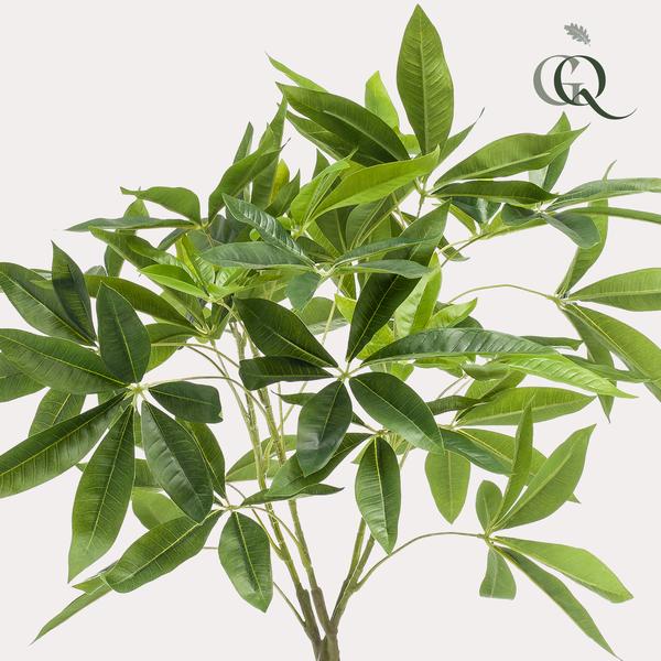 Pachira aquatica / Geldboom - kunstplant - h 90cm