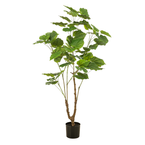 Ficus umbellate / Afrikaanse vijg - kunstplant - h 125cm