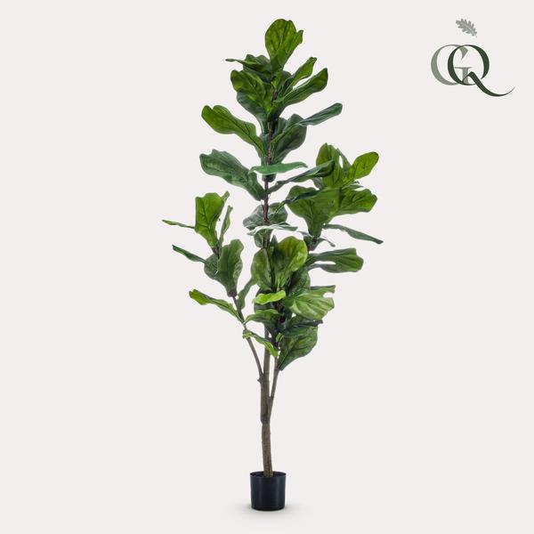 Ficus Lyrata / Tabaksplant - kunstplant - h 150cm