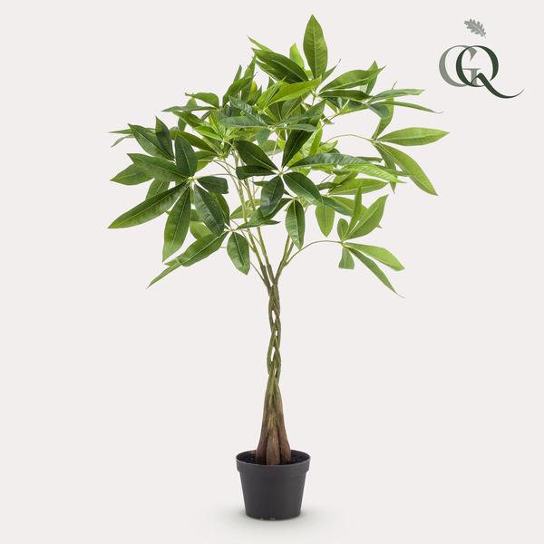 Pachira aquatica / Geldboom - kunstplant - h 90cm