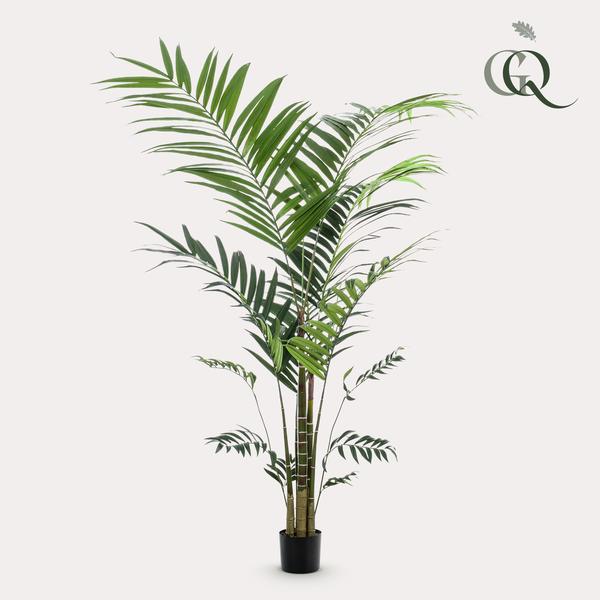 Kentia / Kentiapalm - kunstplant - h 210cm