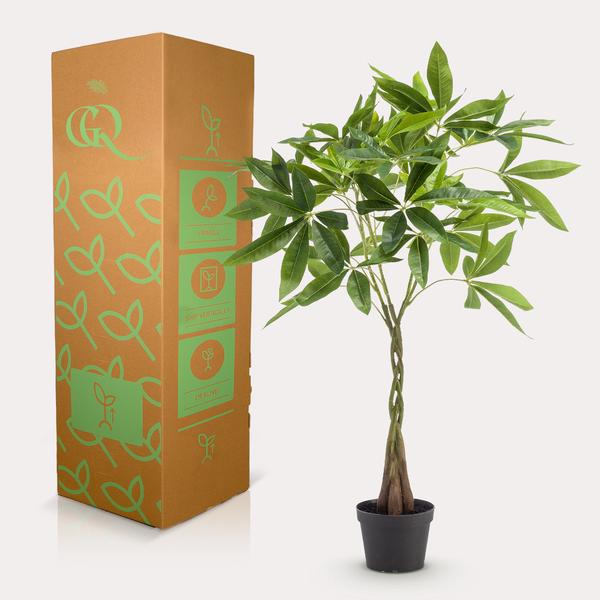 Pachira aquatica / Geldboom - kunstplant - h 90cm