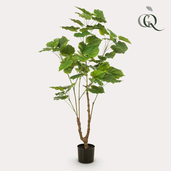 Ficus umbellate / Afrikaanse vijg - kunstplant - h 125cm