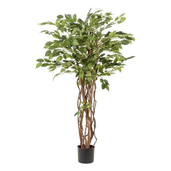 Ficus liana / Vioolbladplant - kunstplant - h 140cm