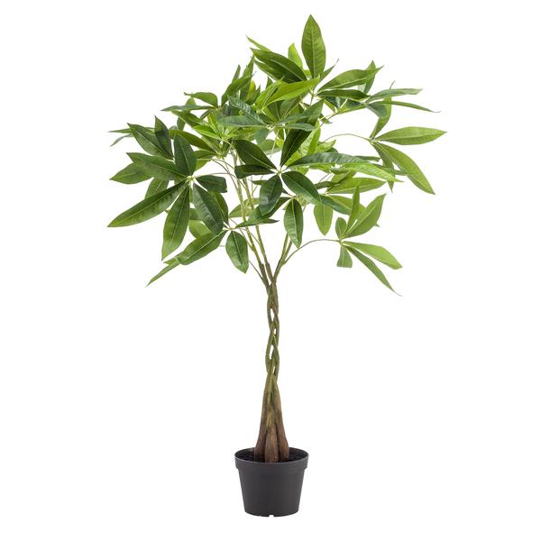 Pachira aquatica / Geldboom - kunstplant - h 90cm