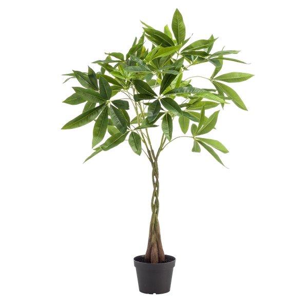 Pachira aquatica / Geldboom - kunstplant - h 90cm