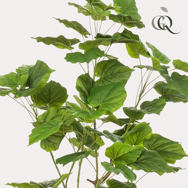 Ficus umbellate / Afrikaanse vijg - kunstplant - h 125cm
